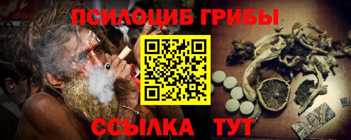 Галлюциногенные грибы MAGIC MUSHROOMS  Вход с VPN  купить наркоту  Камышин 