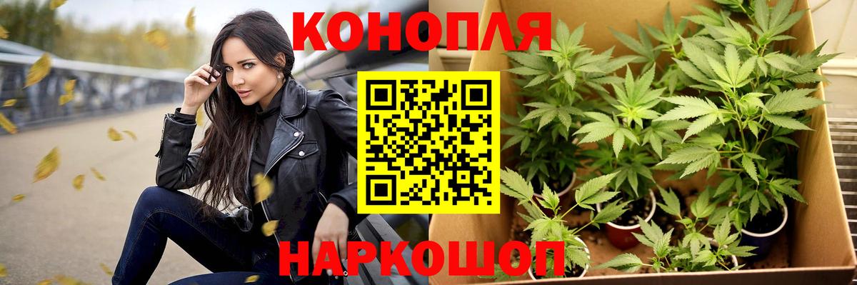 Конопля VHQ  Канабис THC 21%  Конопля марихуана  Вход с VPN  Камышин  Канабис SATIVA & INDICA 